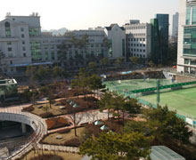  View from my office window at the Hanyang University School of Business