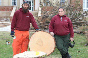 Two people standing next to a felled tree.