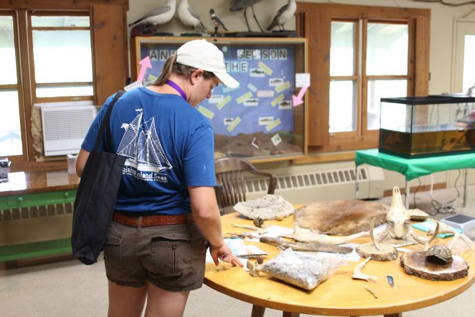 Student observing specimens displayed on a table.