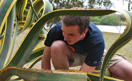 Albion College student observing a plant specimen