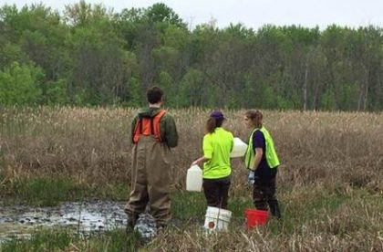 Albion College students investigate freshwater habitats in Michigan.