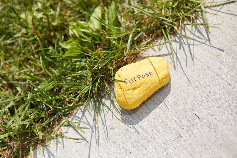 Student-painted rock on a Quad walkway, August 2021.