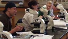 Four students sitting in a row at a table with microscopes in front of them.
