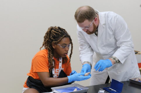 A student and professor working together in the lab.
