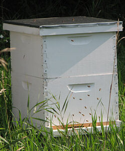 A beehive.