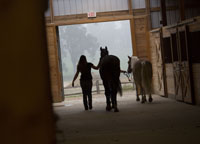 Woman walking beside two horses in the Held Equestrian Center