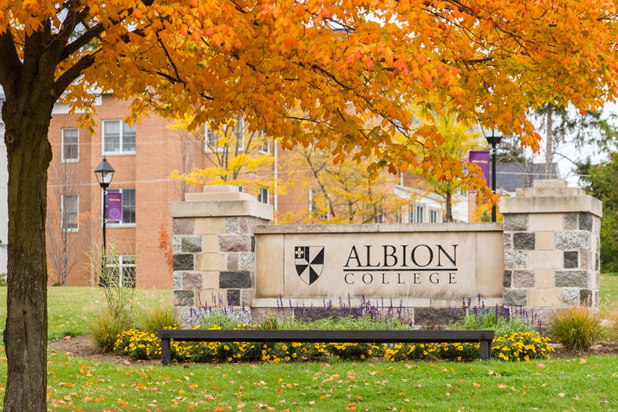 Fall leaves above the Albion sign.