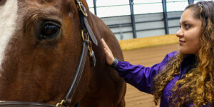 A student petting a brown horse.