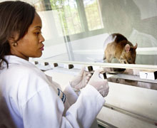 A person in a lab coat with a rat.