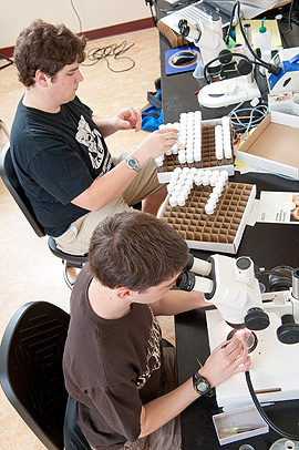 Two students using lab equipment