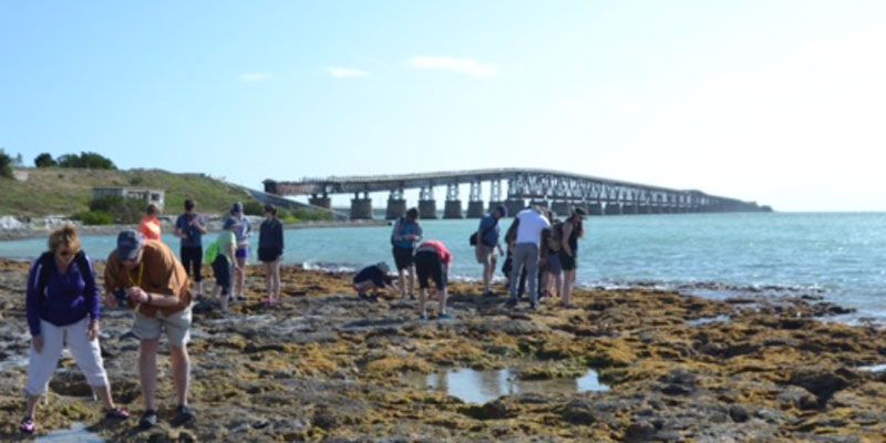 A group of students standing on a beach.