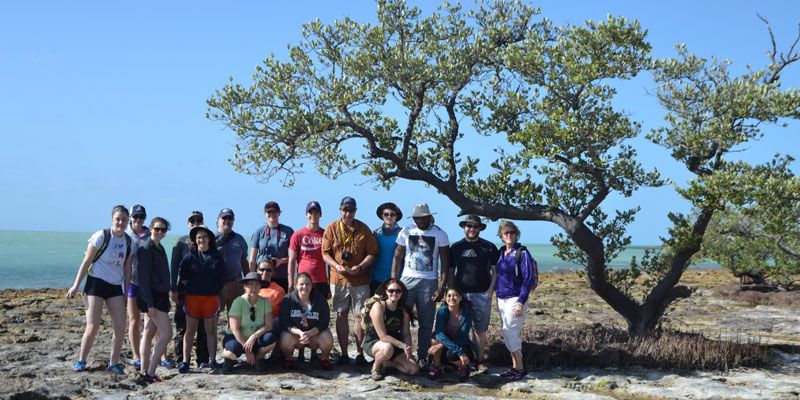 A group of students standing next to a tree.