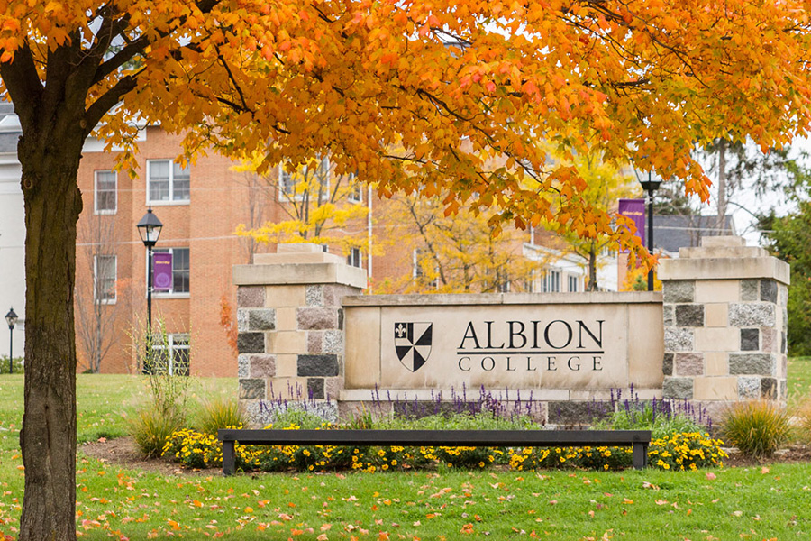 Fall leaves above an Albion sign.