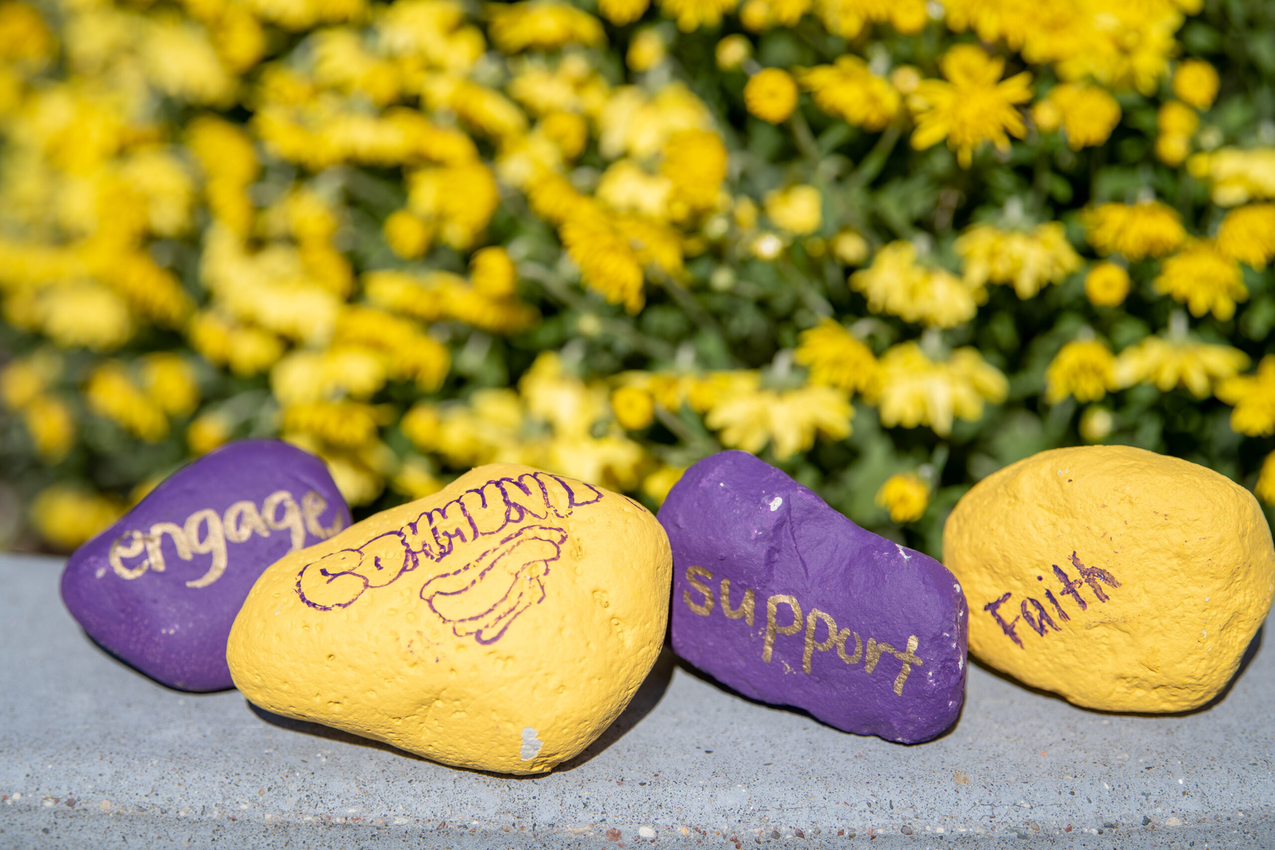 Purple and gold rocks with engage, community, support, and family written on them.