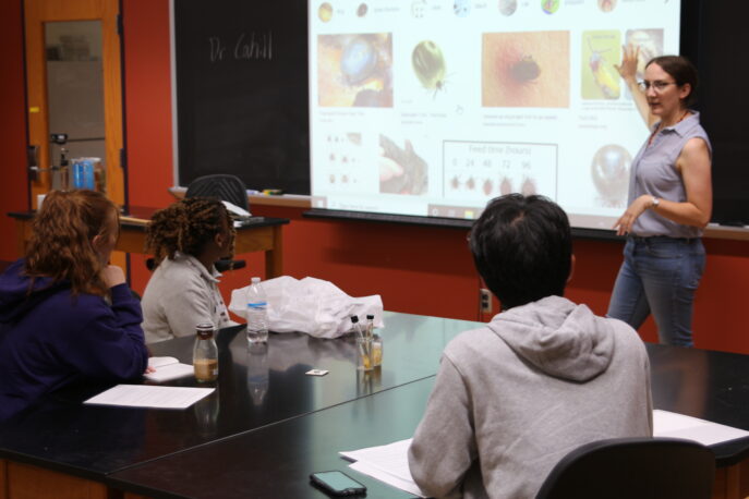 Professor Abigail Cahill teaching in a classroom.