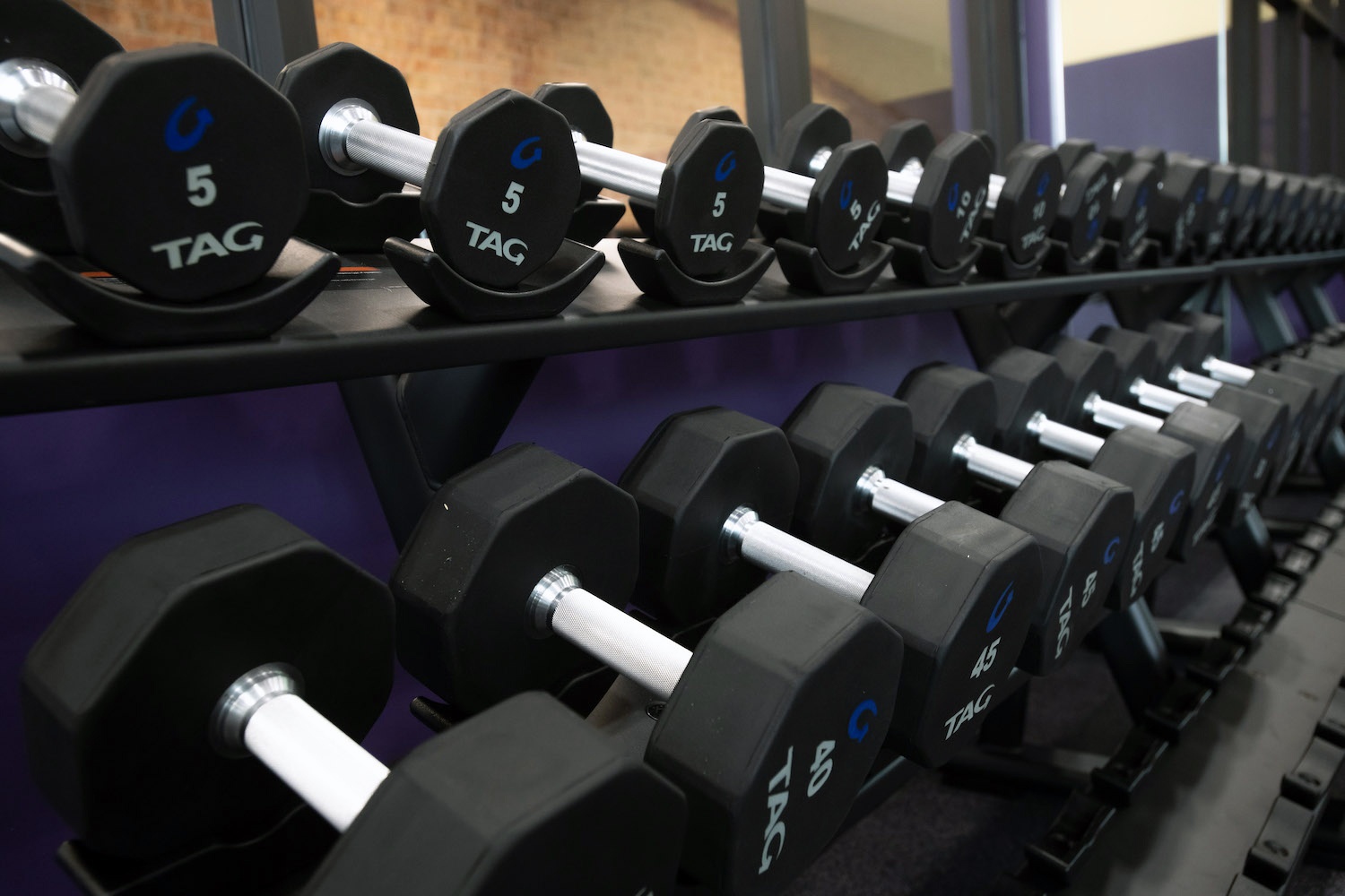 Close up shot of the weights available in the Serra Fitness Center