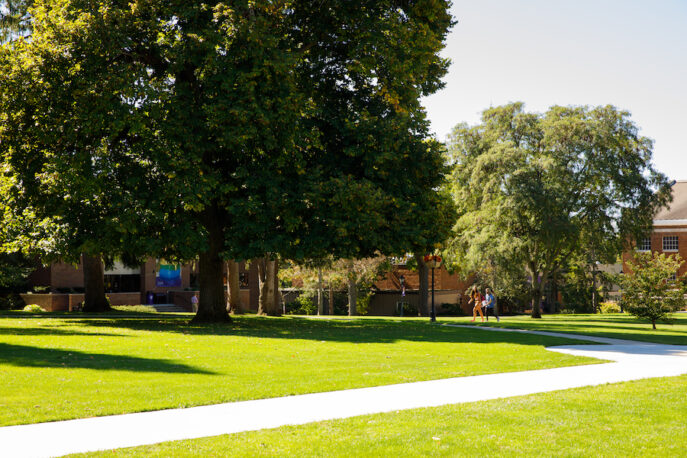 The lawn of the Quad.