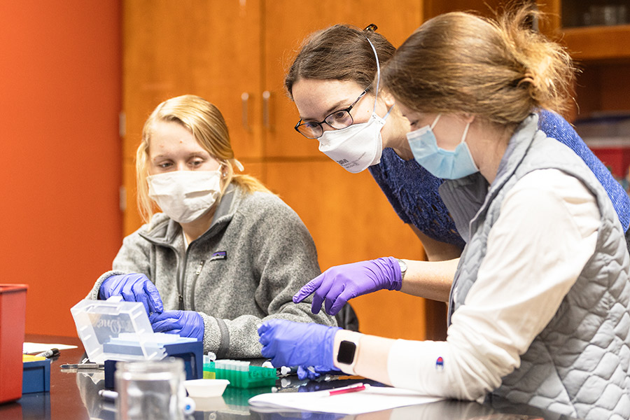 Dr. Abby Cahill (center) works with students in her Ecological Genetics class.